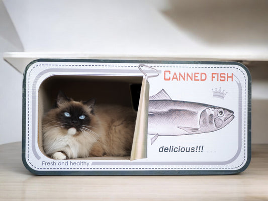 FishCan Scratcher House
